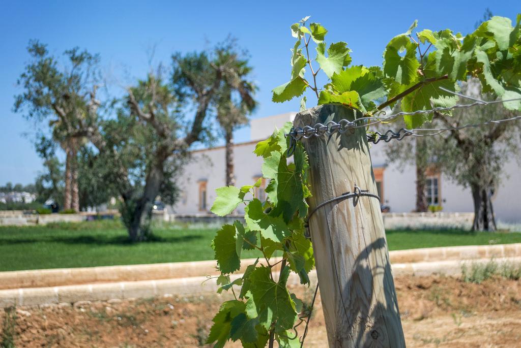 Tenuta Mose Charming House&Relais Gallipoli Dış mekan fotoğraf